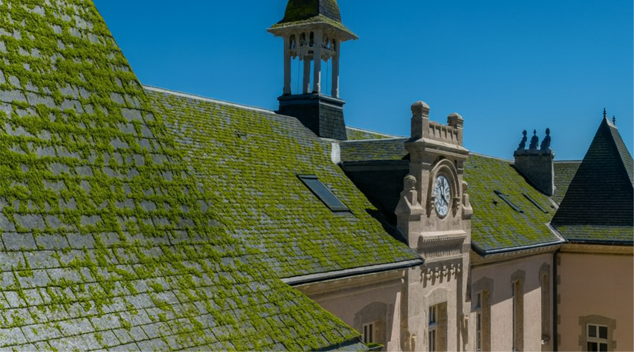 Toiture avant démoussage toiture ProtUp